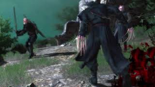 The Witcher 3: Blood and Wine - Fighting the Beast of Toussaint (Mix)