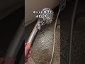 SNSで話題🔥 シャワーヘッド掃除を検証してみた！