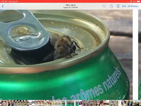 You like jazz - YouTube