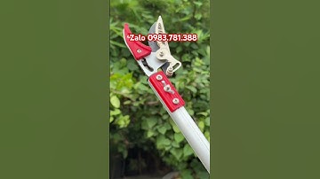 Kéo cắt cành trên cao dùng tiện lợi giá rẻ