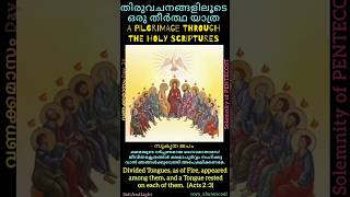 ✝️📖 തിരുവചനങ്ങളിലൂടെ ഒരു തീർത്ഥയാത്ര | A Pilgrimage through Holy Scriptures 📖✝️