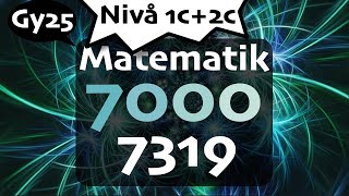 Matematik 7000 Nivå 1c+2c 7319 matte 2c gy25