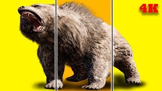 Baby Play "Animal Match Up" ! Learn Animals Names Combined Real Animals 3 screenshot 4