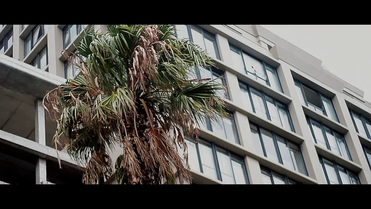 Mo Artwell - Disrespectful [OFFICIAL MUSIC VIDEO]