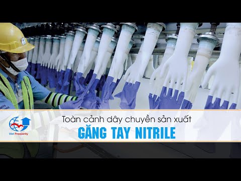Video Đột nhập nhà máy sản xuất găng tay Nitrile xem quy... - youtube