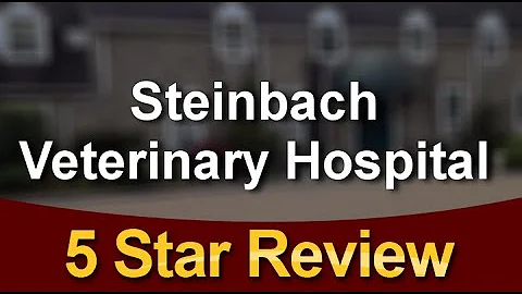 Steinbach Veterinary Hospital Blue Bell Exceptiona...