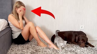 Who Reacts First to Mommy's Crying, Dog or Cat? A Funny Moment!