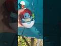 Melbourne FL keychain Library #florida #keychainlibrary #pokemon #free #exchange #asmr