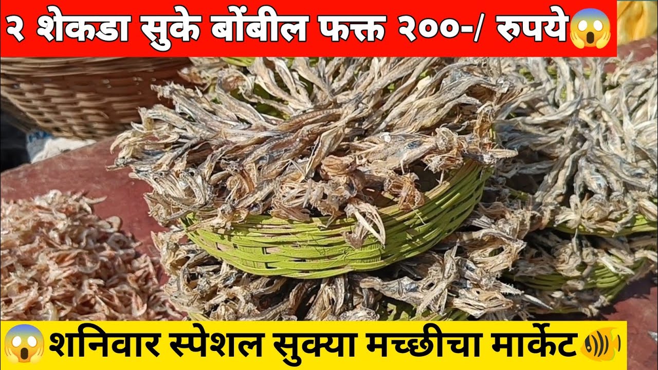 🐠२ शेकडा सुके बोंबील फक्त २०० रुपये 😱| विरार ईस्ट चा शनिवार स्पेशल स्वस्त सुक्या मच्छी चा मार्केट🐟||