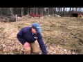 How To Frost Seed
