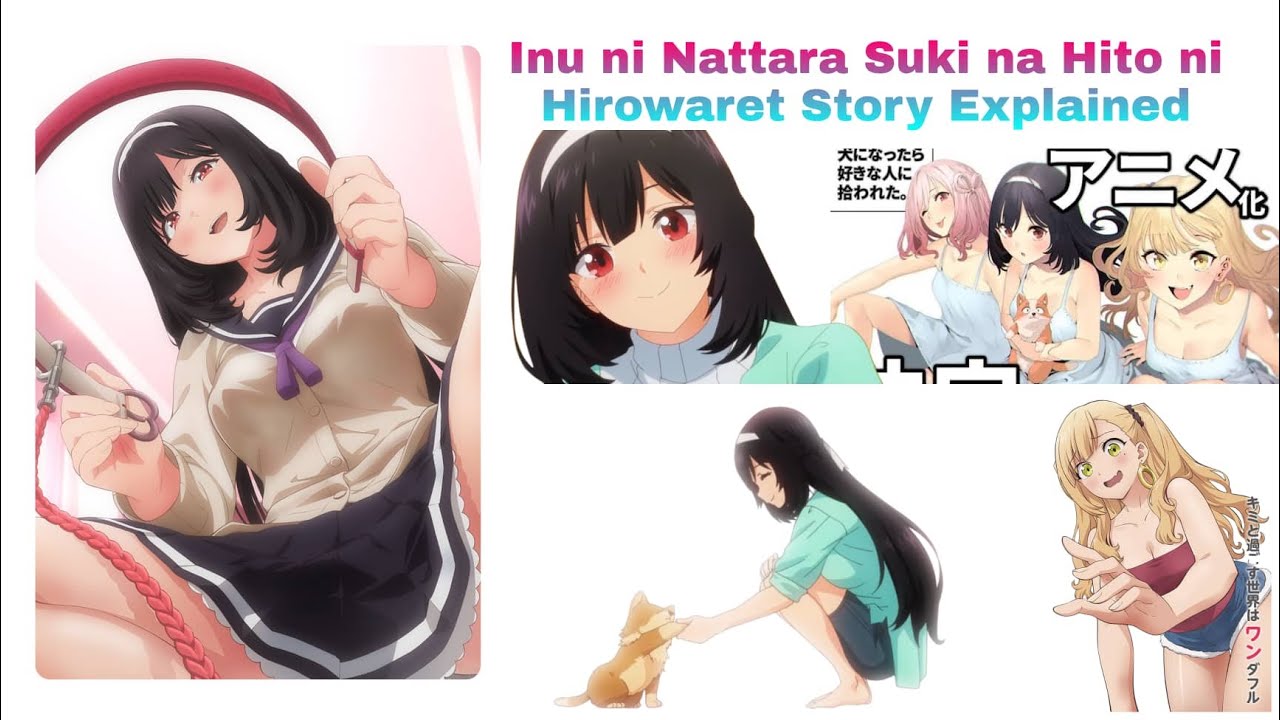Inu ni Nattara Suki na Hito ni Hirowareta | upcoming anime 2022