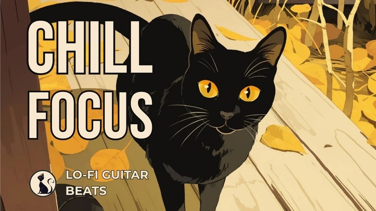 Smooth Focus Session | Lo-Fi Guitar Chillhop 🎧 | Selected by the Black Cat | Chill Focus & Deep Work