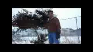 Snow fall in japan.3gp