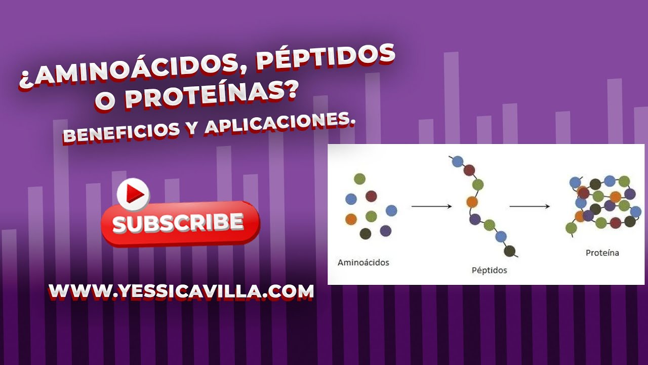 ¿Aminoácidos, péptidos o proteínas? Beneficios y aplicaciones. - YouTube