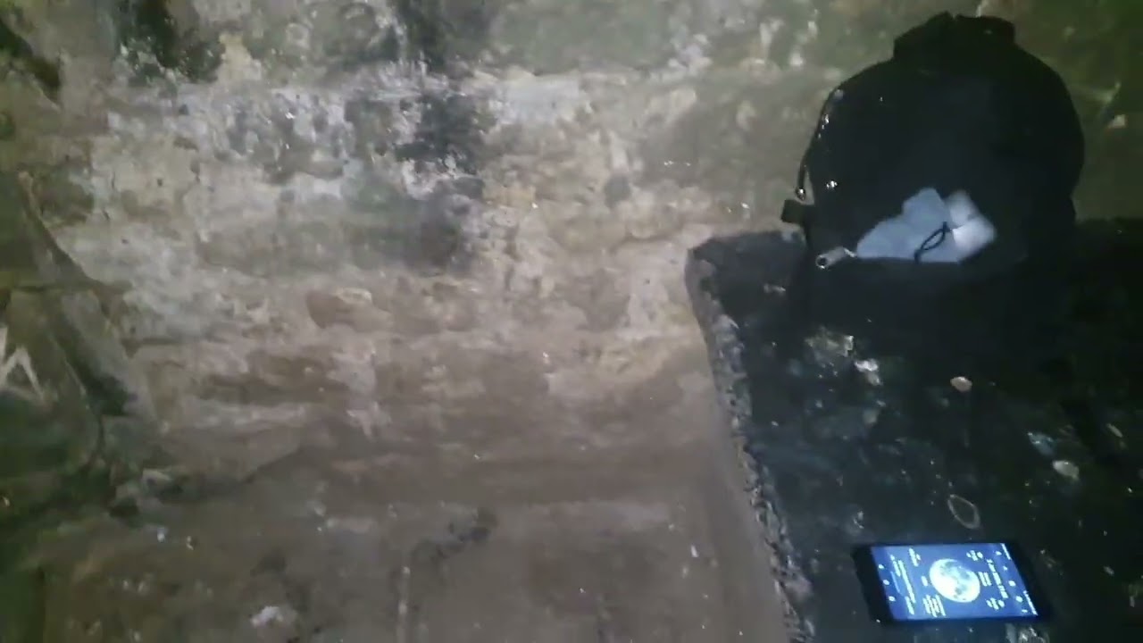 Rasta Lion is Observing the First Full Moon of 2026 !!!