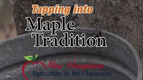 NHAITC Maple Education Video