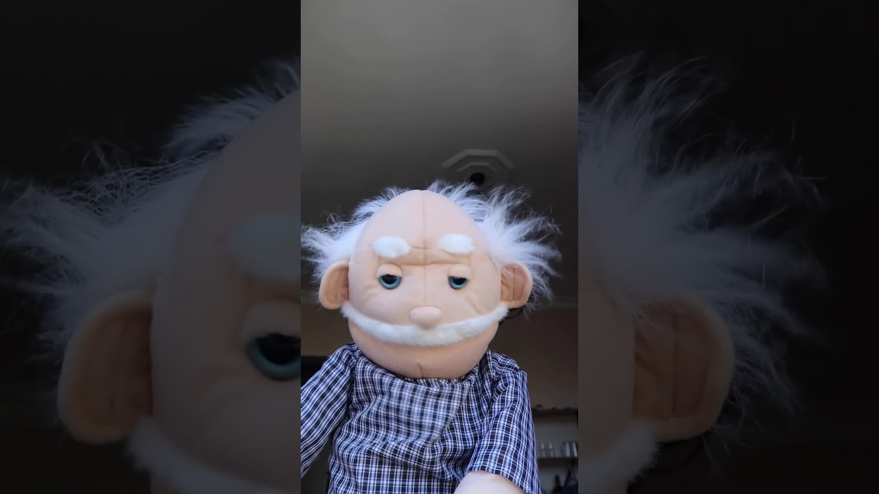 شباط شهر القطاط