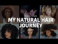 My NATURAL HAIR JOURNEY +Pictures! Curly Healthy Hair, Transitioning, "Mini" Chop, Before & Afters