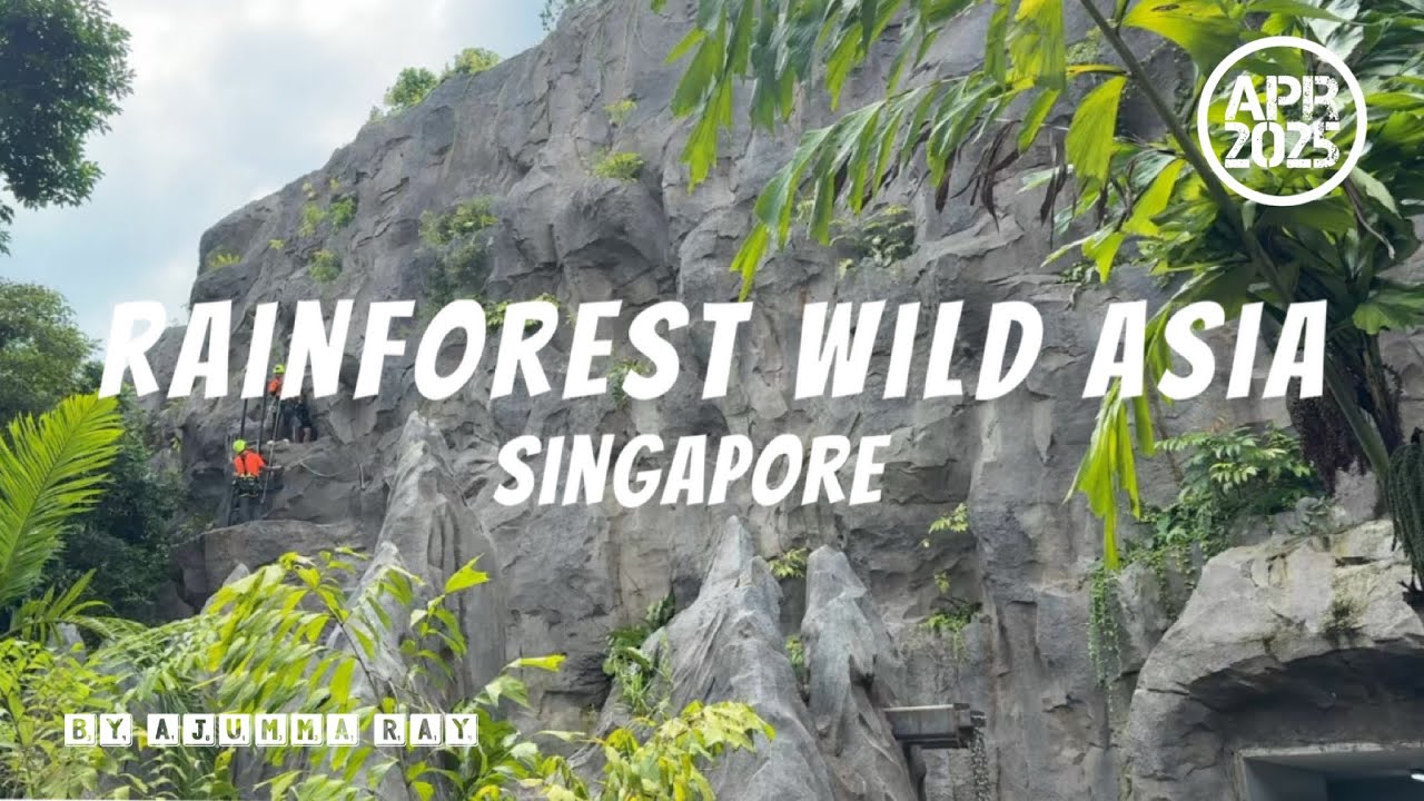 A day exploring Rainforest Wild ASIA and Wild Cavern Adventure!