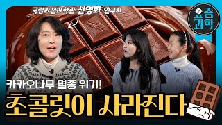 [댓글이벤트🎁] 카카오 나무가 사라진다? 🍫초콜릿 가격이 오르는 진짜 이유 l 요즘과학