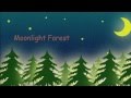 Moonlight Forest
