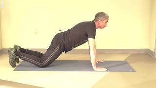 Famous Knee Push Up Exercise Wealth