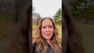 Each Site Has Different Records | Formidable Genealogy