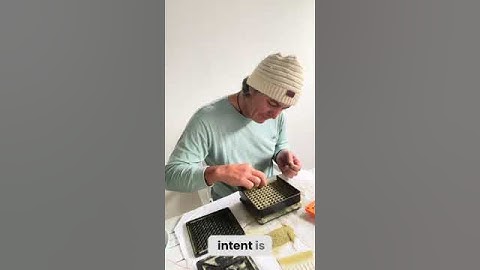 Intention Setting Micro-Dosing Practice 2024