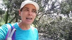 Hurricane Irma Insurance Property Damage Claims