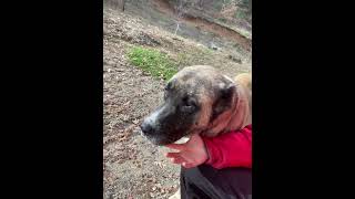 Çiselemeyin Oğlum Yağın Yağın