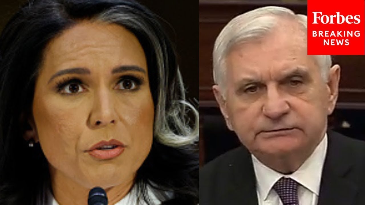 'Were You Using Your Private Phone Or Public Phone For The Signal?': Jack Reed Grills Tulsi Gabbard