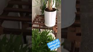 Check Out Our Self Watering Pot At Gamalaacom selfwatering selfwateringpot indoorplants