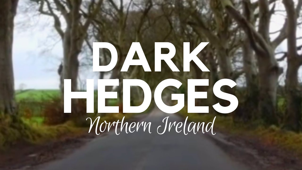 The Dark Hedges 18th Century Tree Lined Avenue Youtube