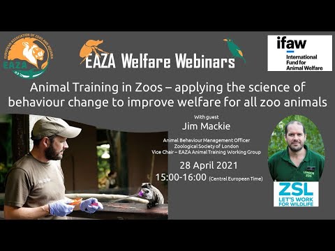 EAZA Animal Welfare Webinar Jim Mackie Animal Training In Zoos 