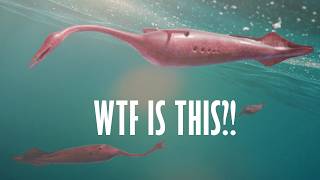 The Weirdest Creature Ever Discovered