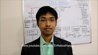 Cell Injury ( Part 2 ) : Various Mechanisms, Reversible 