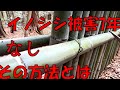 挑んだ‼ 7年間被害無し 「イノシシ対策  柵の作り方」単純な方法 ですが効果はありました。How to make a fence for wild boar countermeasures.