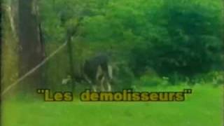 The Littlest Hobo Song Original Video Opening - Terry Bush