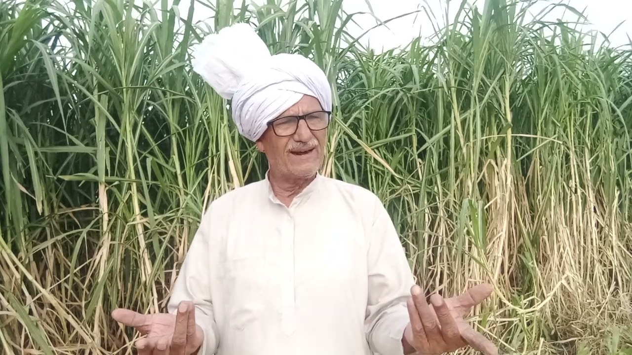 बाप ने रोते हुए बेटी के पैरों में रख दी पगड़ी बेटी ने मारी उसको ठोकर बाद में बेटी के हाड बिखरे रोड प