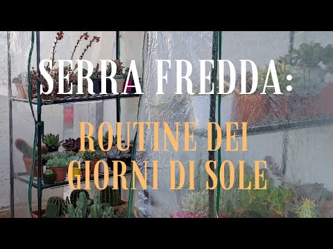 Video: Giardinaggio in mini serra - Come utilizzare una mini serra