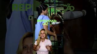 19 de maio de 2026