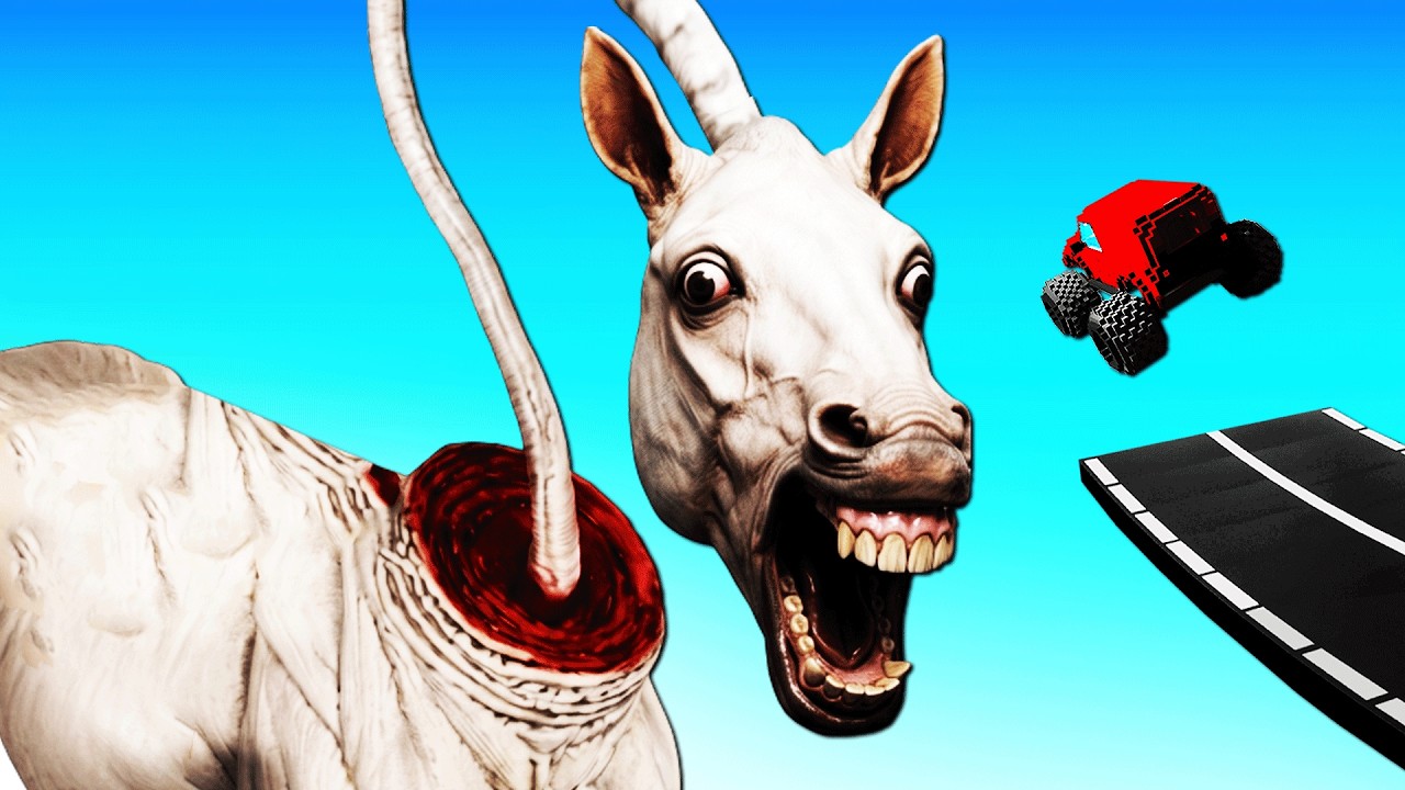 THE LONG HORSE vs CARS