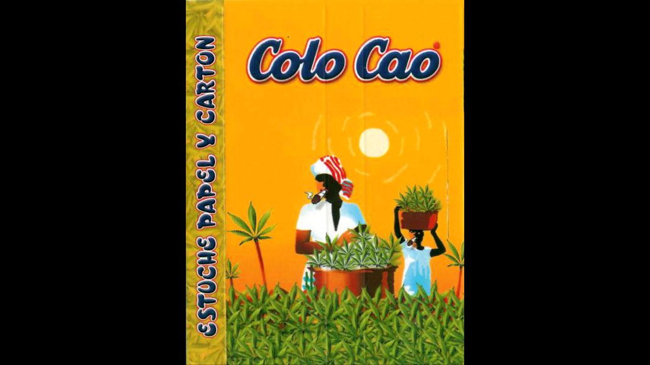 FERNANDITO KIT KAT X ZENO EL FARAÓN ~COLOCAO~