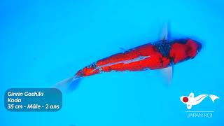 KOD134 - Ginrin Goshiki