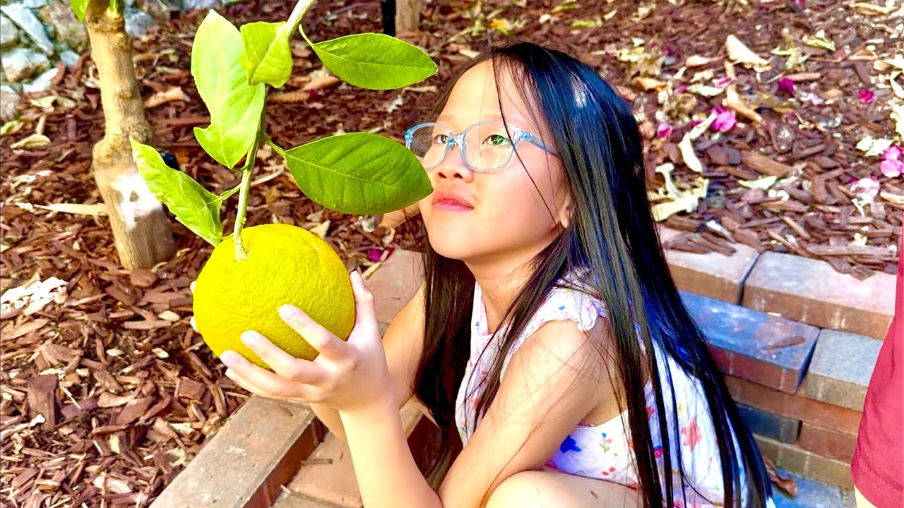 Khám Phá Vườn Nhà Tom Phần 1