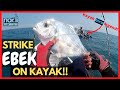 KOMPLOT BERSAMA VLUQ | TRIP PANTAI TIMUR DAY 2 | Kayak Fishing ZERO to HERO! #v6