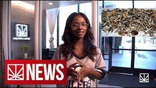 Synthetic Cannabinoids | Florida Cuts Down On Minor Possession | Microdosing | MERRY JANE NEWS
