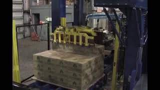 OPEN GANTRY CASE PALLETIZING ROBOT by SAGE AUTOMATION