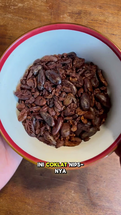Must try, make your own chocolate bar from cocoa fruit from browsing #garden #gardening #cooking