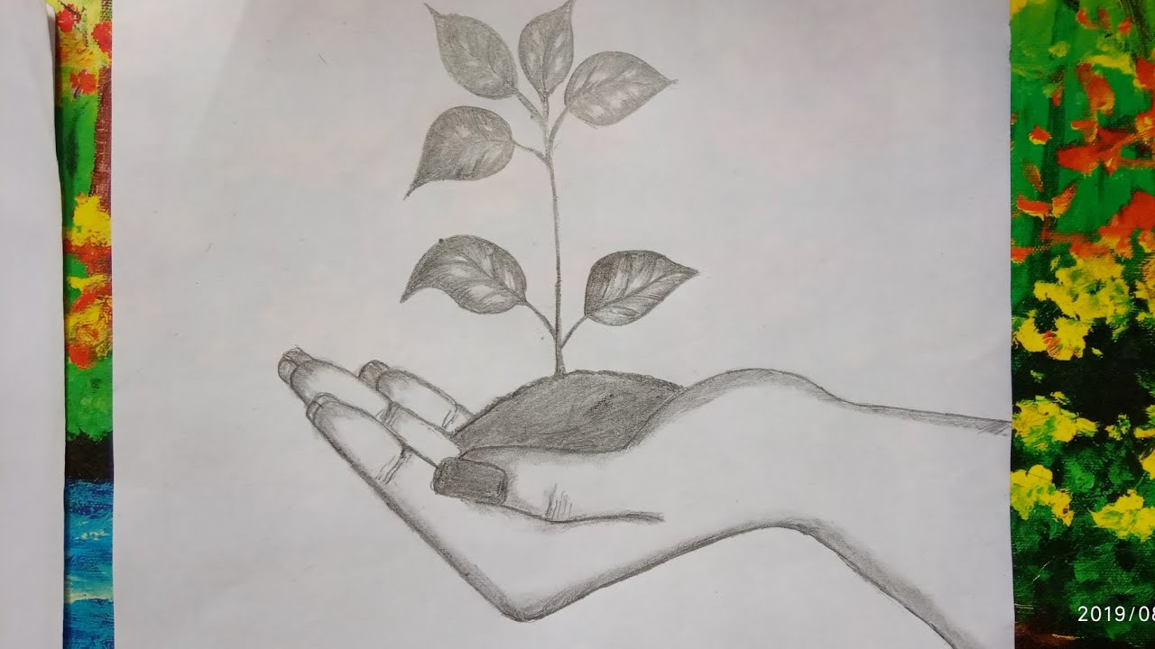 Potted plant still life pencil  Welcome to StevezArtcom